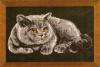 Схема вышивания крестом - Серый кот